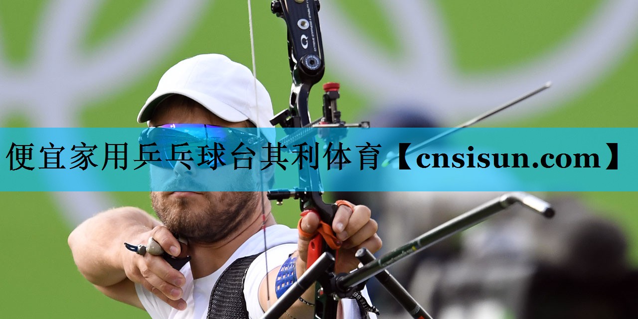 便宜家用乒乓球台其利体育