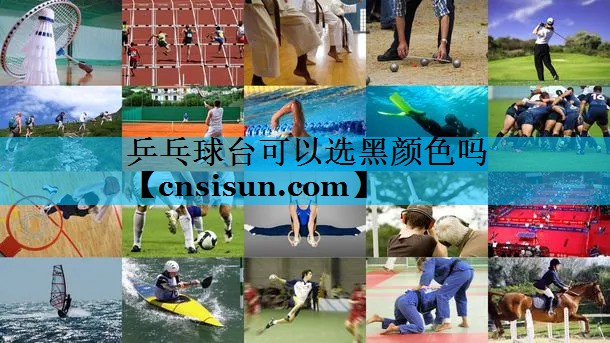 乒乓球台可以选黑颜色吗