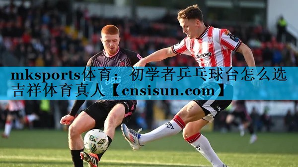 mksports体育：初学者乒乓球台怎么选吉祥体育真人