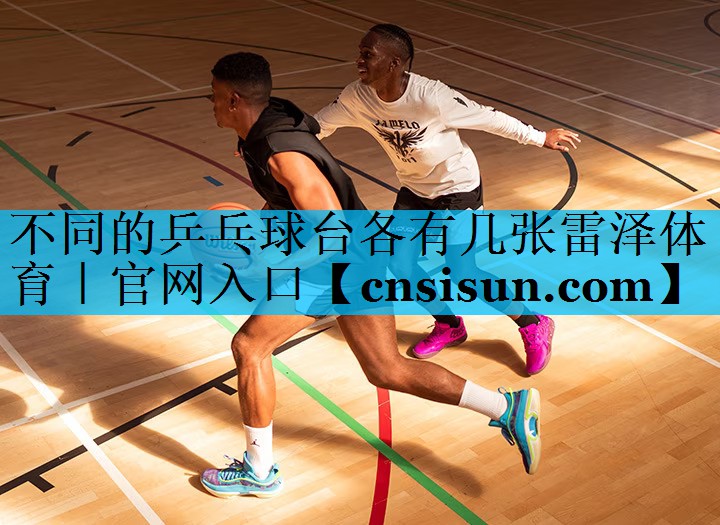 不同的乒乓球台各有几张雷泽体育｜官网入口