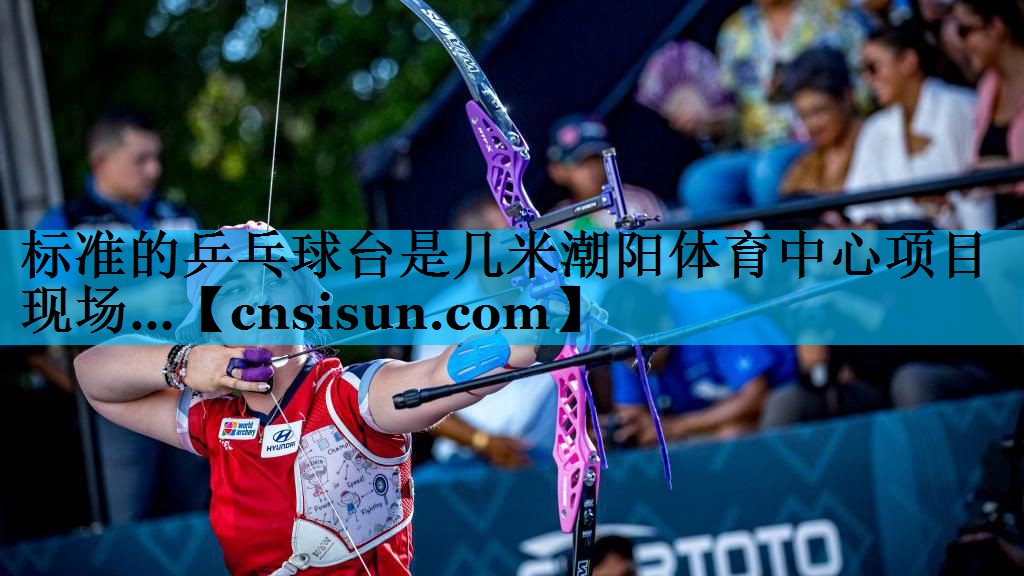 标准的乒乓球台是几米潮阳体育中心项目现场…