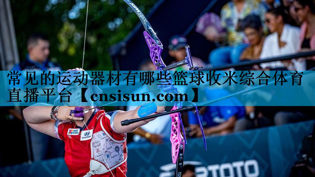常见的运动器材有哪些篮球收米综合体育直播平台