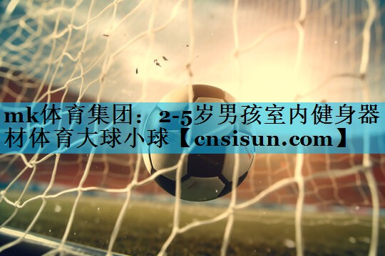 mk体育集团：2-5岁男孩室内健身器材体育大球小球
