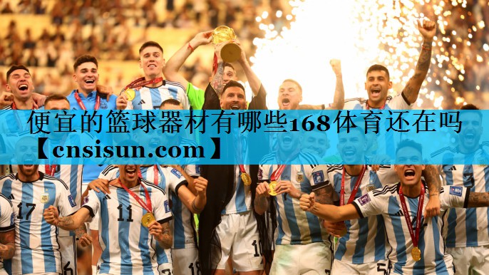 便宜的篮球器材有哪些168体育还在吗