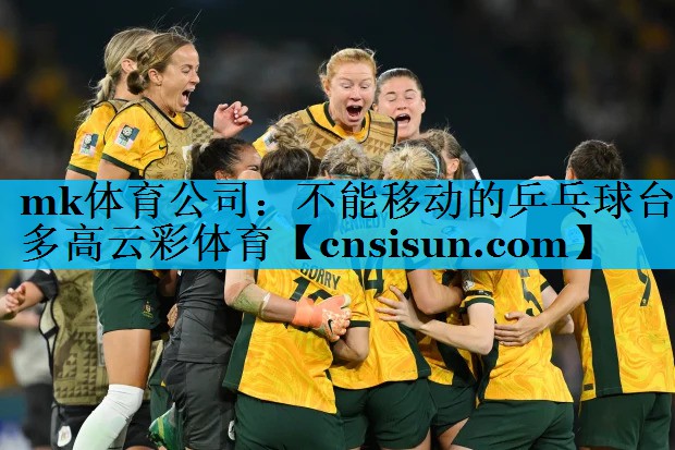 mk体育公司：不能移动的乒乓球台多高云彩体育