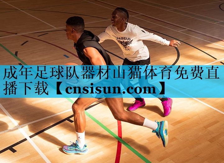 成年足球队器材山猫体育免费直播下载