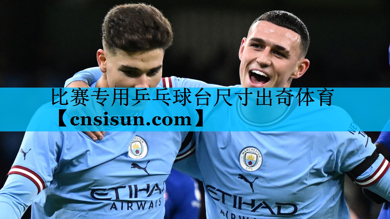 比赛专用乒乓球台尺寸出奇体育