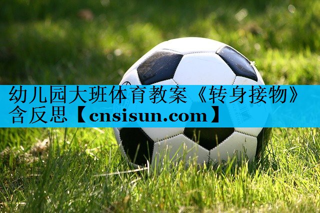 幼儿园大班体育教案《转身接物》含反思