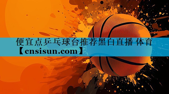 便宜点乒乓球台推荐黑白直播 体育