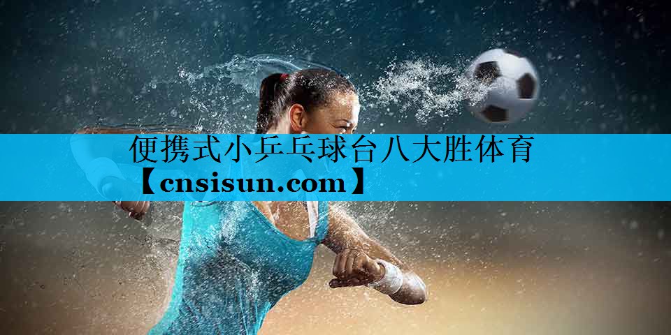 便携式小乒乓球台八大胜体育