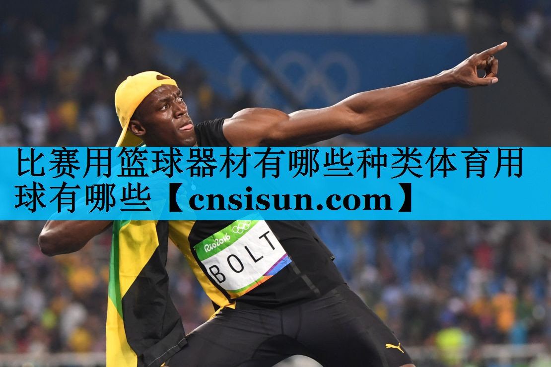比赛用篮球器材有哪些种类体育用球有哪些