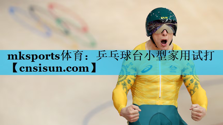 乒乓球台小型家用试打 乒乓球台小型家用试打