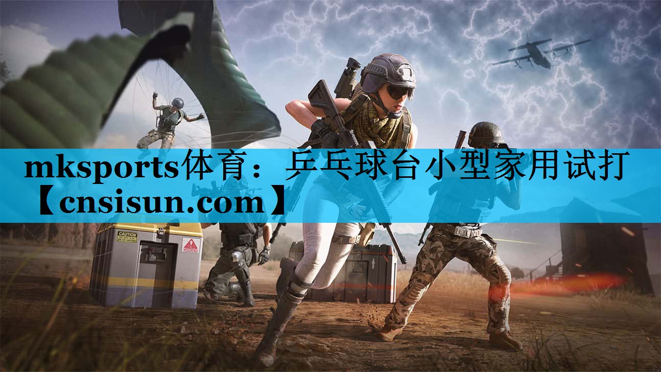 乒乓球台小型家用试打 乒乓球台小型家用试打