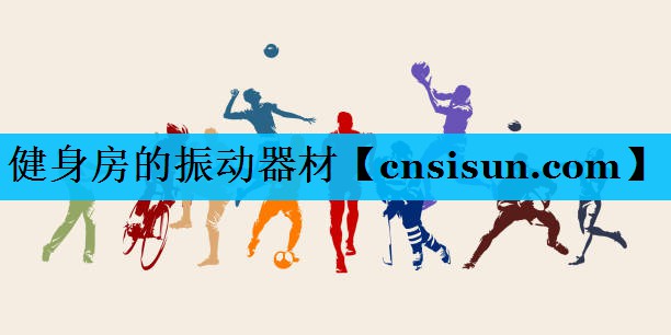 健身房的振动器材
