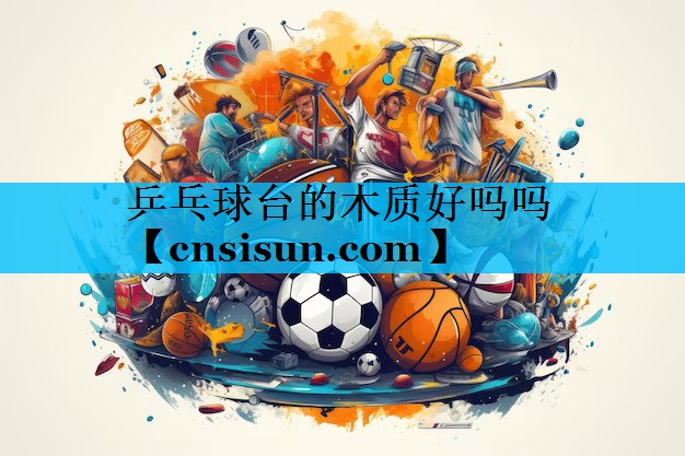 乒乓球台的木质好吗吗