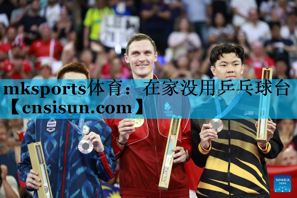 在家没用乒乓球台