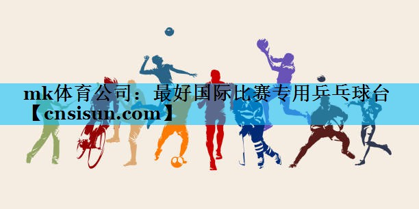 最好国际比赛专用乒乓球台