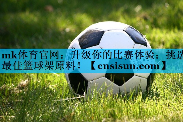 升级你的比赛体验：挑选最佳篮球架原料！